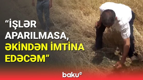 Biləsuvarda fermerlərin sahələrini məhv edən səbəb nədir?