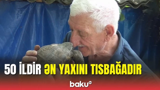 Yarım əsrdir tısbağa ilə yaşayan Zaqatala sakini