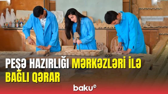 Peşə və məsləhət xidmətlərinin büdcəsi azaldılır