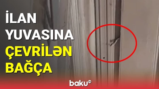 Qubada bağçanı ilanlar basıb