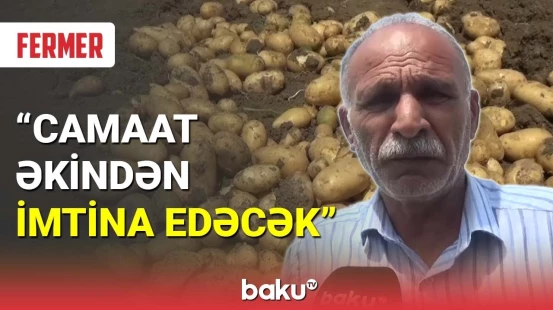 Masallı və Cəlilabadda fermerlər iflas həddində