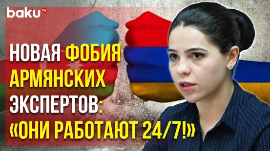 Армянский Эксперт Татев Айрапетян об Активности Азербайджанцев в Соцсетях