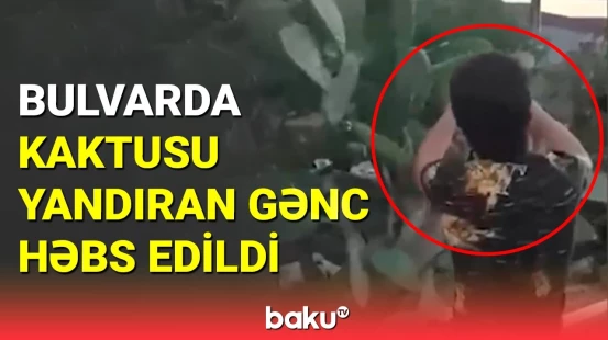 Bulvarda kaktusu yandırıb videosunu yayan gənc saxlanıldı