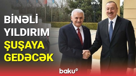 İlham Əliyev Binəli Yıldırımı qəbul edib