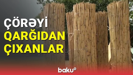 Əl işi festivallara gedib çıxan Süleymanovlar ailəsi