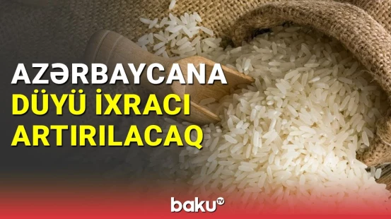 Azərbaycana düyü ixracı artırılacaq