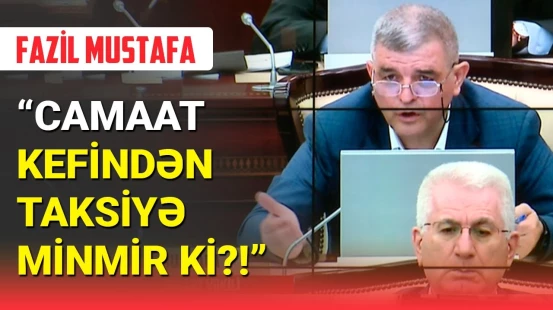 Fazil Mustafadan manatlıq taksilərə dəstək