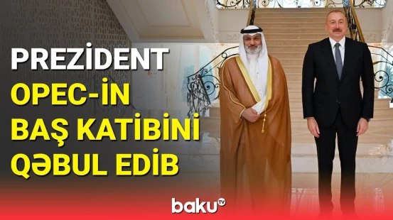 İlham Əliyev OPEC-in baş katibini qəbul edib