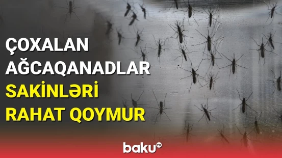Bakı küçələri niyə dezinfeksiya olunmur?