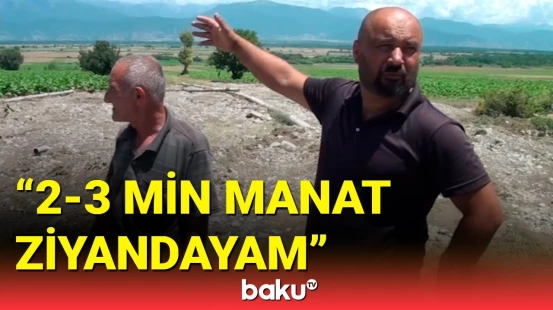 Şəkidə sel fermerlərin əziyyətini heç etdi