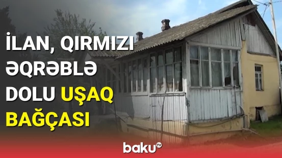 Lənkəranda uşaqların kabusuna çevrilən uşaq bağçası