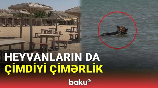 Çimmək qadağan edilən çimərliklərə hansı qurum nəzarət edir?
