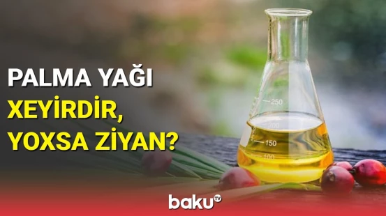 Palma yağı barədə bilmədiyimiz həqiqət