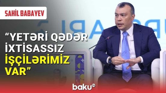 Sahil Babayev : Əmək müqaviləsi ilə çalışanların sayı azdır