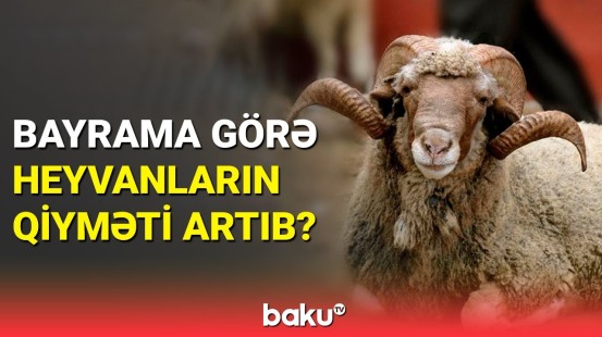 Qurban kəsim yerlərinin adları açıqlandı