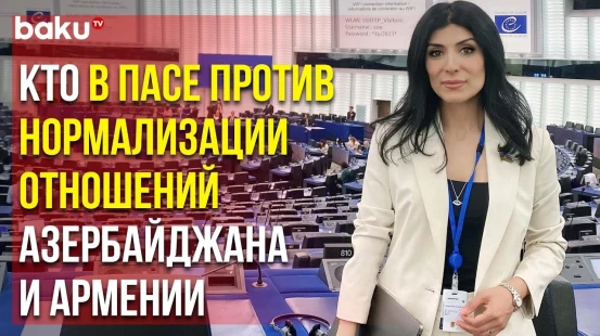 Нигяр Арпадараи Прокомментировала Резолюцию ПАСЕ по Лачинской Дороге