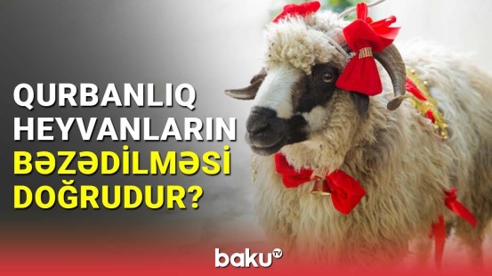 Qurbanlıq heyvanların bəzədilməsi məqbul hesab edilir?