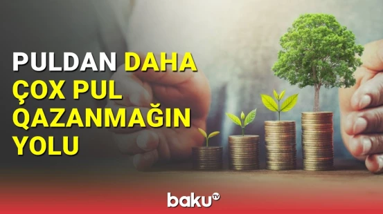 Yaxşı gəlir üçün nələrə yatırım etmək sərfəlidir?