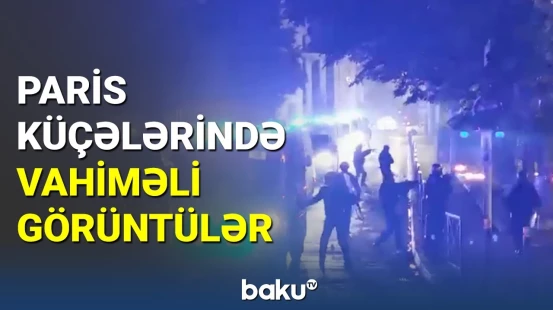 Parisdə etirazçılar yırtıcı heyvanları zooparkdan buraxdı