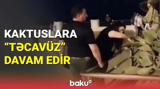 Bitkilərə qənim kəsilənləri hansı cəza gözləyir?