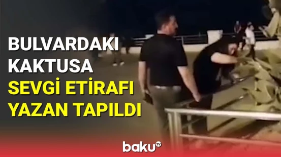 Kaktus yarpağını yazıb qıranlar cəzalandı