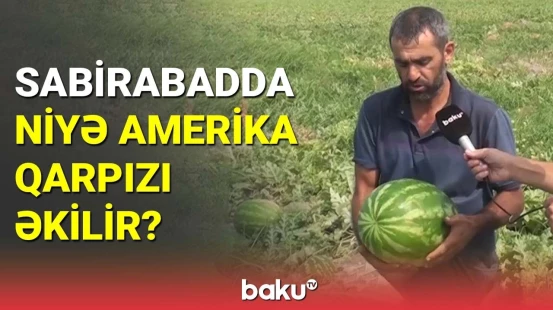 Əkilməyən yerli sortlar tarixə qovuşur