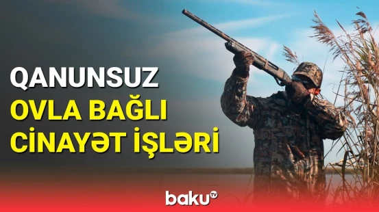 Baş Prokurorluq qanunsuz ovçuların sayını açıqladı