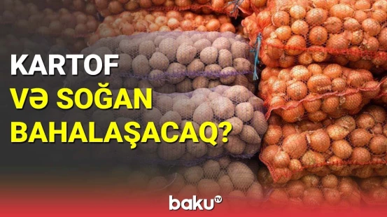 Azərbaycanda kartof və soğan əkini azalıb