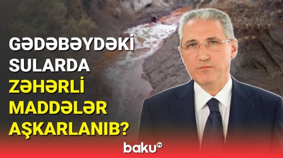 Gədəbəydəki sularda zəhərli maddələr aşkarlanıb?