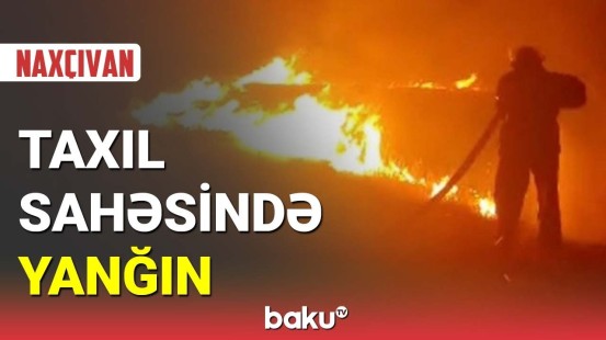 Naxçıvanda taxıl sahəsində yanğın baş verib