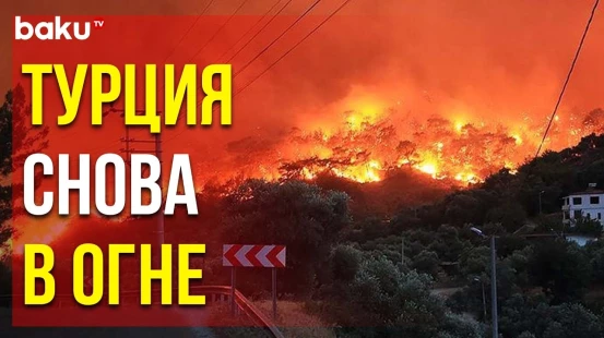 Масштабные Лесные Пожары в Турции Возобновились