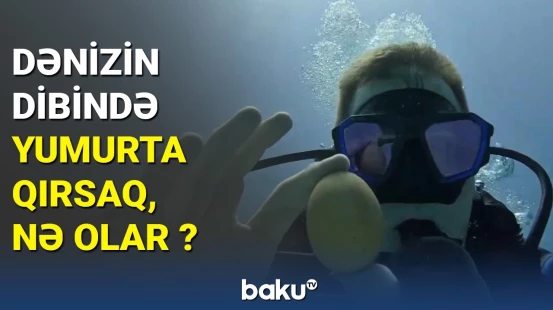 Dənizin dibində yumurta qırsaq, nə olar?