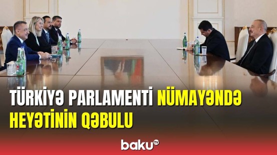 Prezident Türkiyə Parlamentinin nümayəndə heyətini qəbul edib