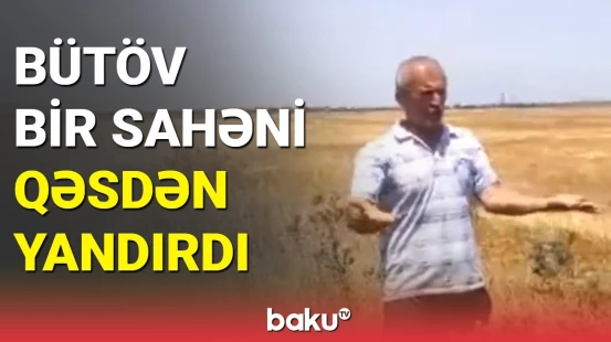 Masallıda taxıl sahəsi xüsusi qurğu ilə qəsdən yandırıldı