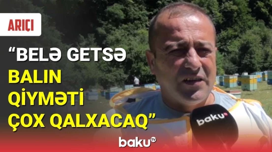 Yağıntılı havalar arıçıları ziyana salıb