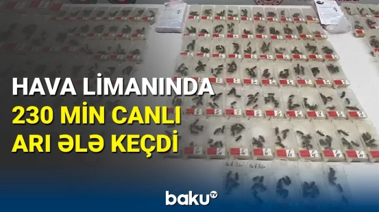 Türkiyə gömrüyündən hava limanında əməliyyat