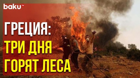Природные Пожары в Греции Начались на Фоне Аномальной Жары