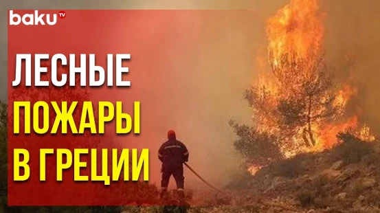 В Греции Бушуют Лесные Пожары, с Острова Родос Эвакуируют Туристов