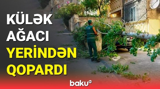 Bakı küləyi ətrafı yerlə bir etdi