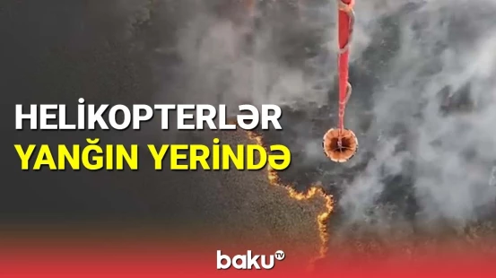 Qızılağac Milli Parkındakı yanğınla bağlı FHN-dən açıqlama