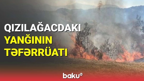 Qızılağac Milli Parkındakı yanğın məhdudlaşdırılıb