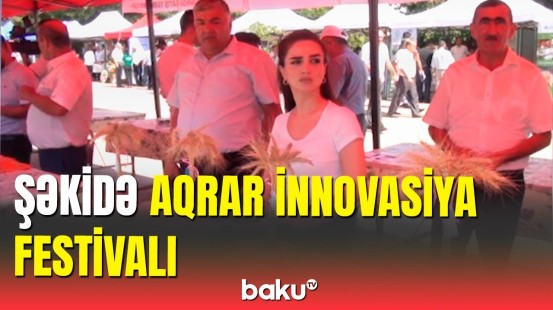 30-dan çox toxum istehsalçısı Şəkidəki festivalda