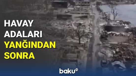Havay adalarında yanğın: 67 nəfər öldü