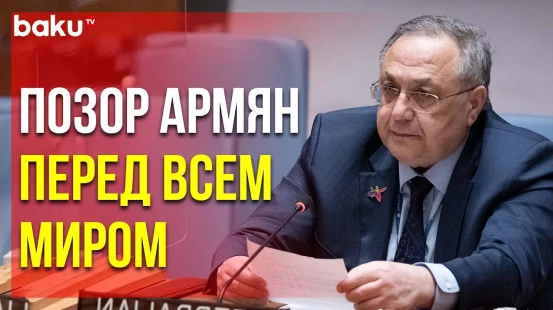 Яшар Алиев Разоблачил Ложь Армян о «Голоде» на Заседании Совбеза ООН