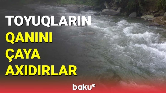 Lerikdəki dəhşətli hadisəyə aidiyyəti qurumdan reaksiya