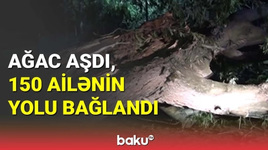Masallıda ağac aşdı, 150 ailənin yolu bağlandı