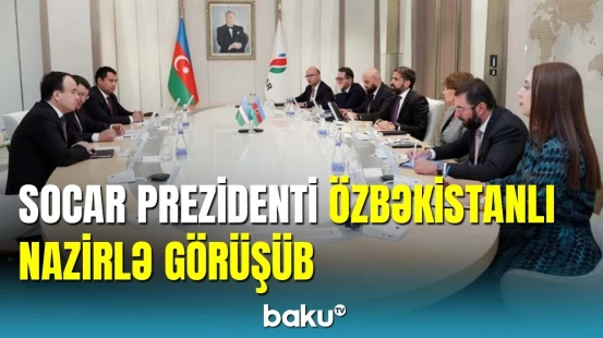 Rövşən Nəcəf Özbəkistanın energetika naziri ilə görüşüb