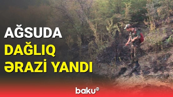 FHN Ağsuda yanğının söndürülmə görüntüsünü yaydı