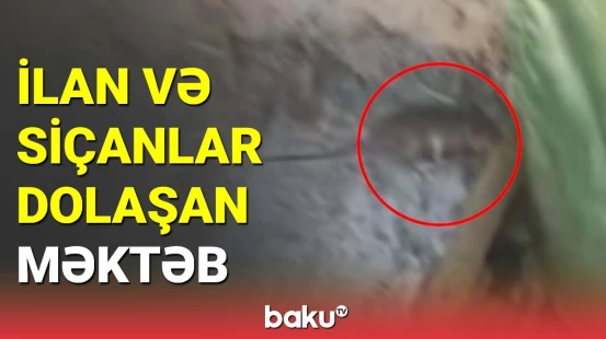 Oğuzda yararsız vəziyyətdə olan məktəb binası