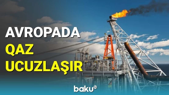 Avropada qazın qiyməti azalıb